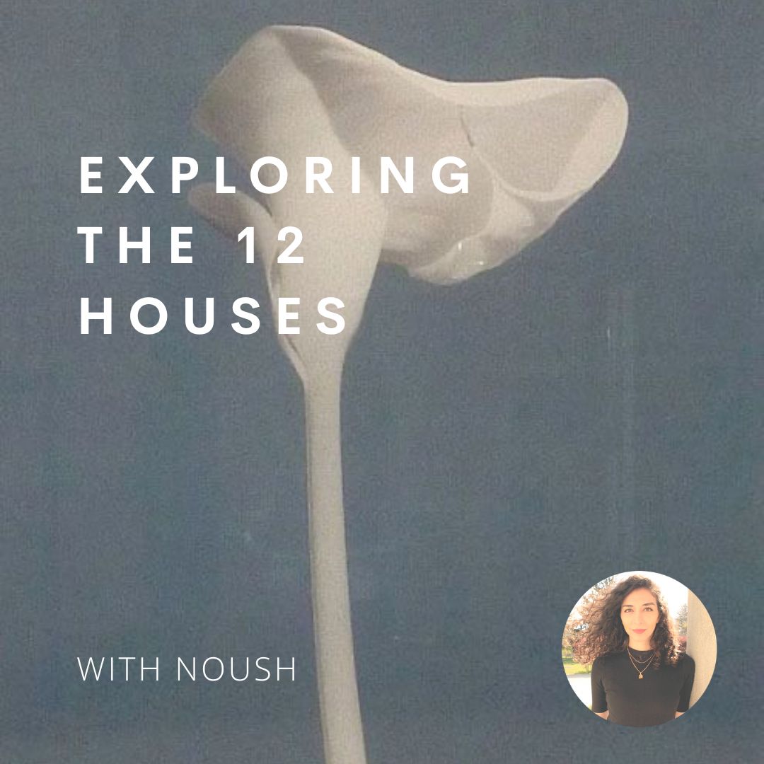 Exploring the 12 Houses